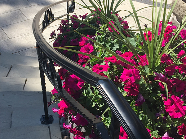 curved railing home module 4